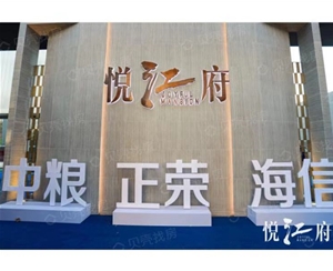 铜陵铜陵南京悦江府项目